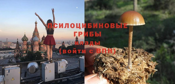 тгк Заводоуковск