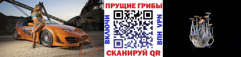 blacksprut ссылка Каневская Псилоцибиновые грибы ЛСД